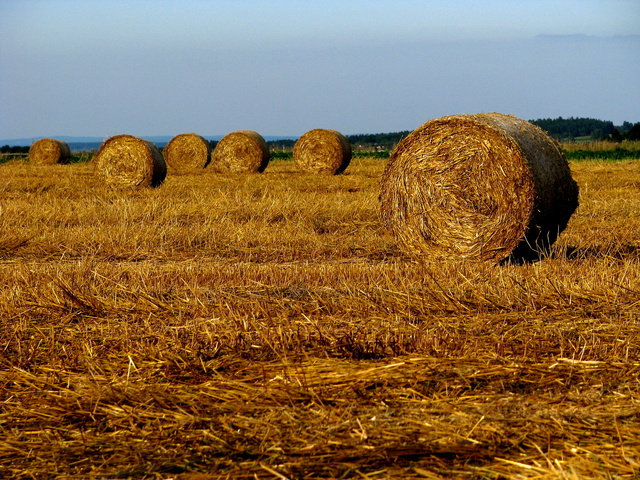 South Bohemia, Czech Republic.