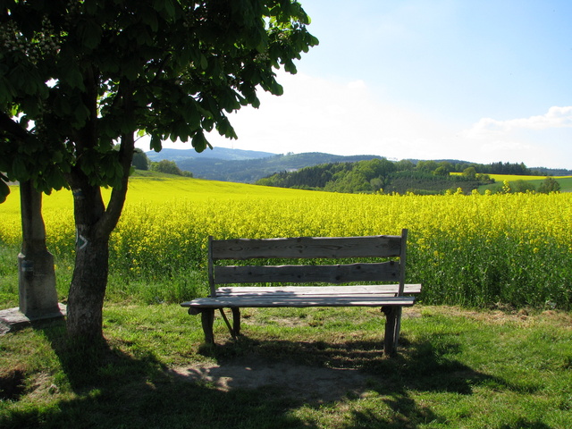 Spring in South Bohemia, Czech Republic.