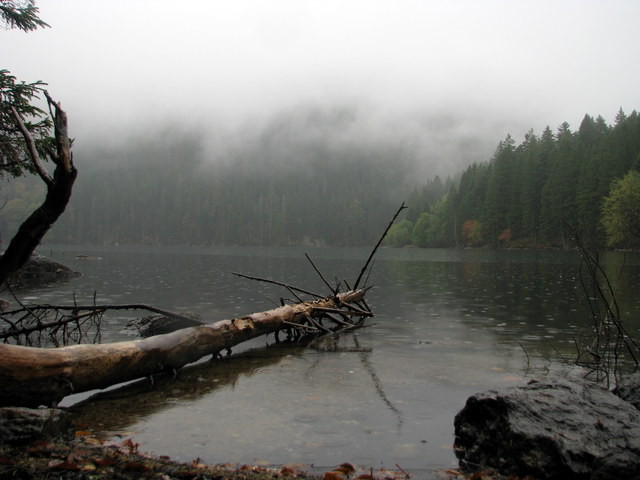 Čertovo jezero, Šumava, Czech Republic.
