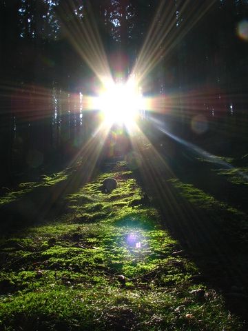 South Bohemia, Czech Republic.